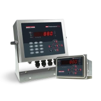 Đầu cân Ricelake 880