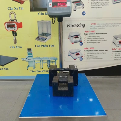 CÂN ĐIỆN TỬ OHAUS T24PE  30kg