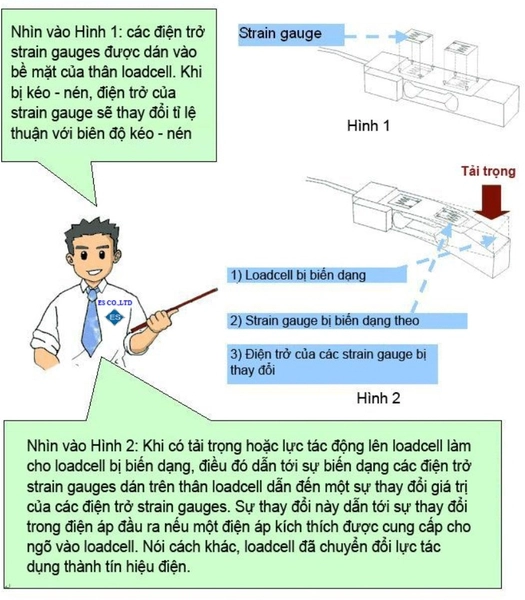 Nguyên tắc hoạt động của Loadcell